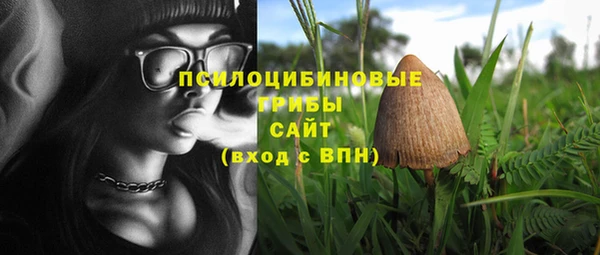 синтетический гашиш Елабуга