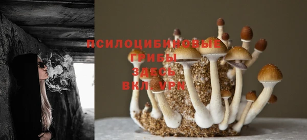 синтетический гашиш Елабуга