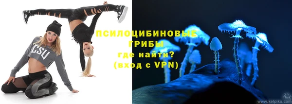мдма Ельня