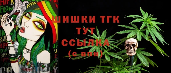 мдма Ельня