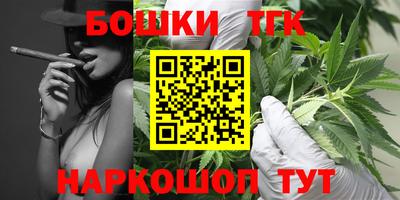 стаф Свободный