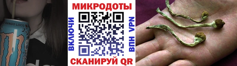 Галлюциногенные грибы Psilocybine cubensis Подольск