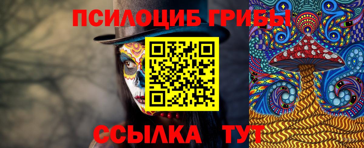 Подольск  Псилоцибиновые грибы Cubensis  Вход с VPN 